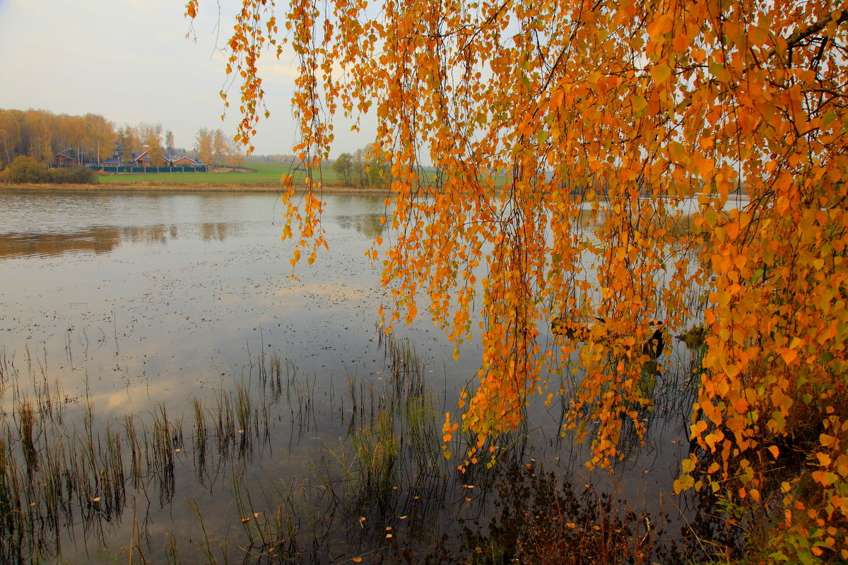 осень - сергей 