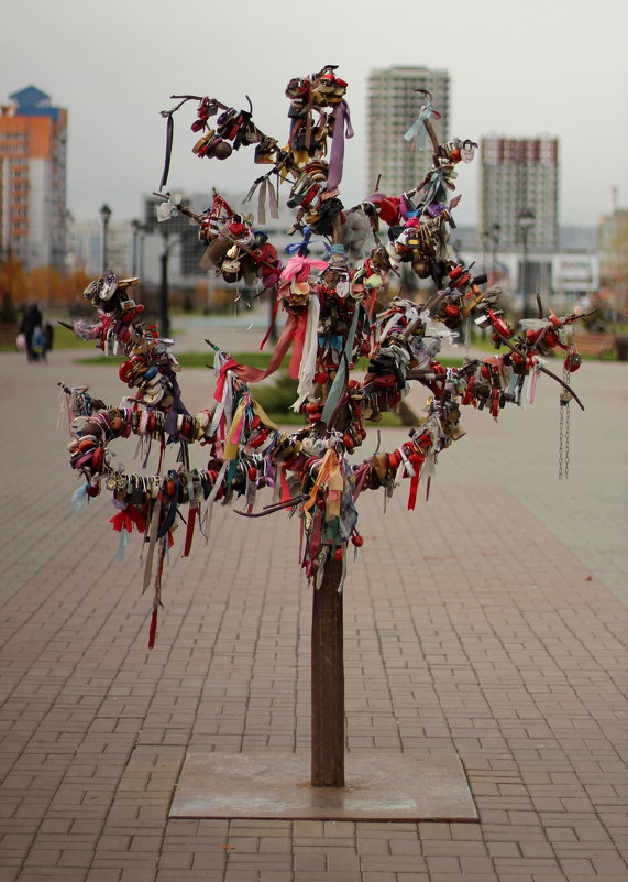 Дерево любви - Радмир Арсеньев