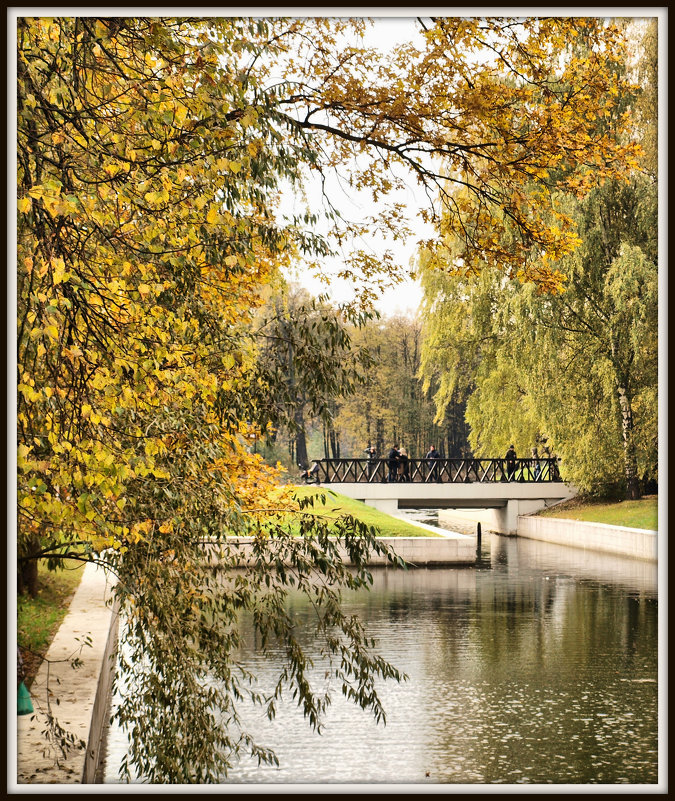 Осень в парке #2 - Михаил Малец