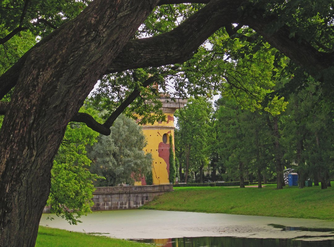 Башня-руина (Санкт-Петербург, Царское Село) - Павел Зюзин