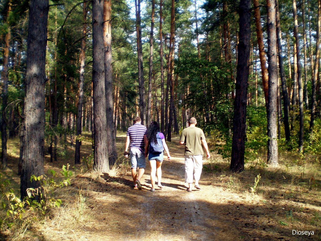 Прогулка по лесу - Татьяна Пальчикова
