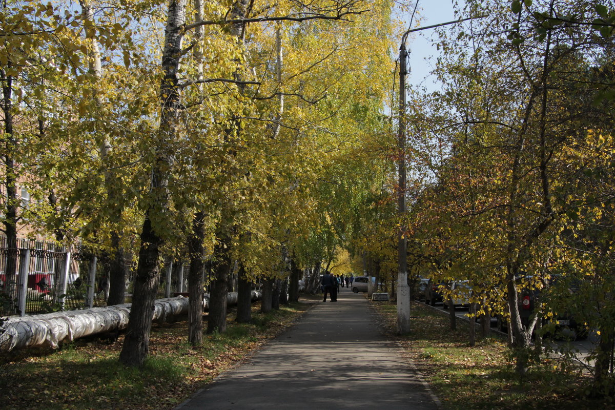 *** - Олег Афанасьевич Сергеев