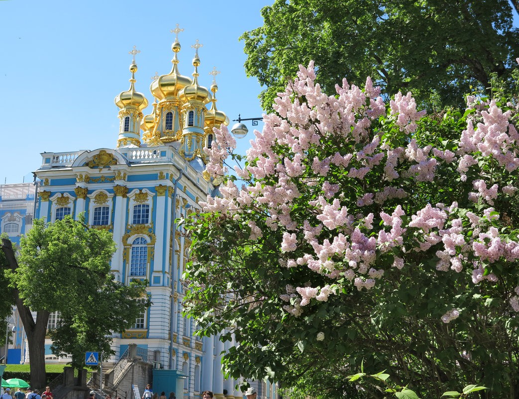 Сирень и храм - Наталья 