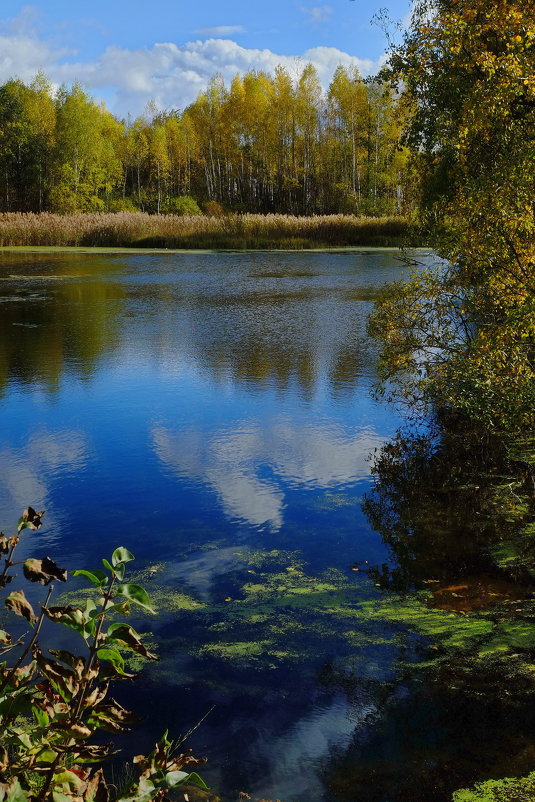 Тихий  омут.. - M Marikfoto