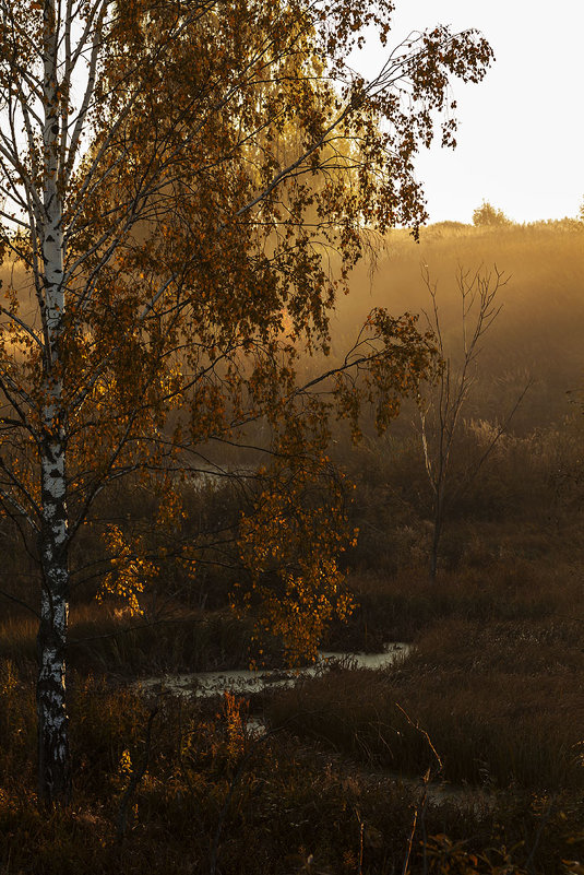 Осеннее утро - Александр 