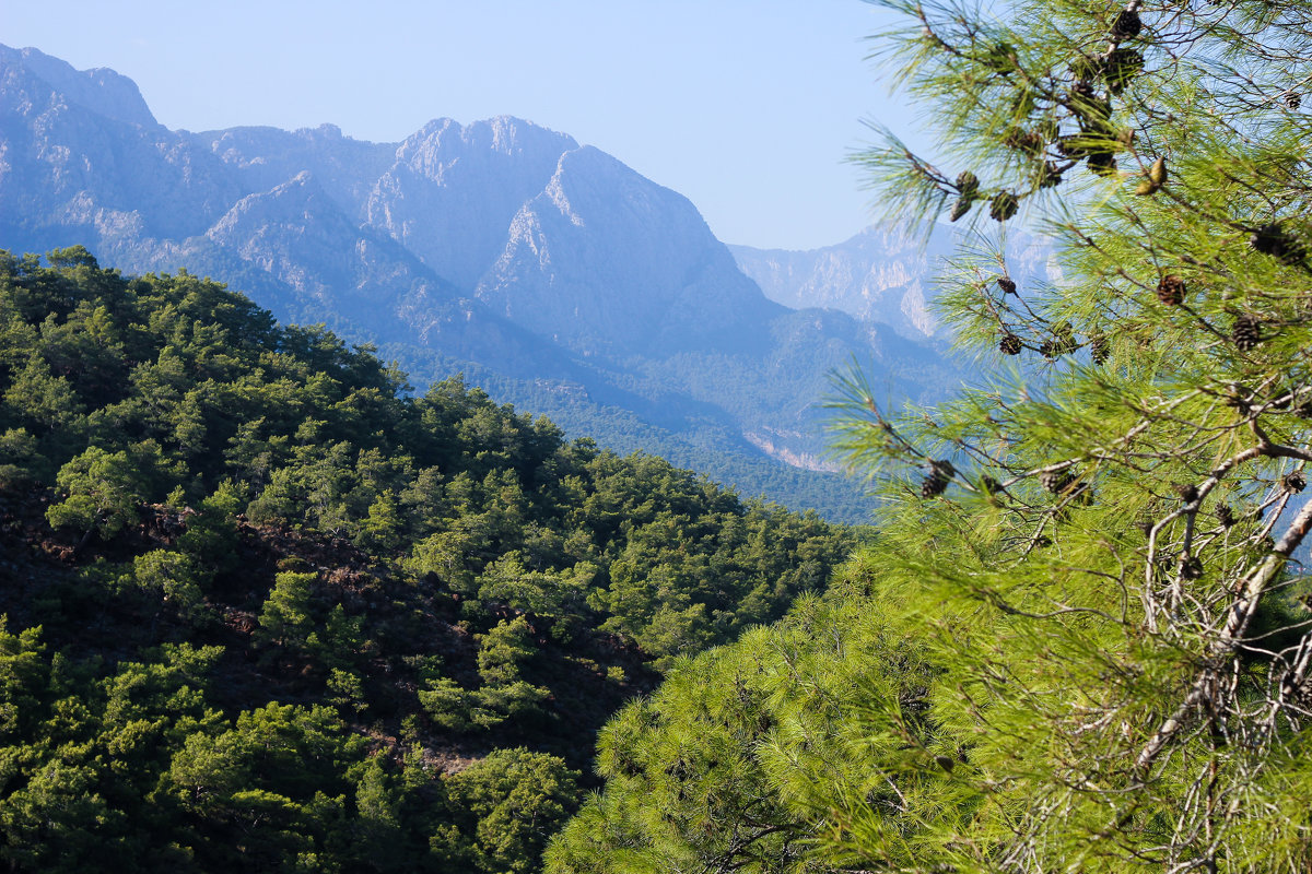 Turkish nature - Анна Черноскутова