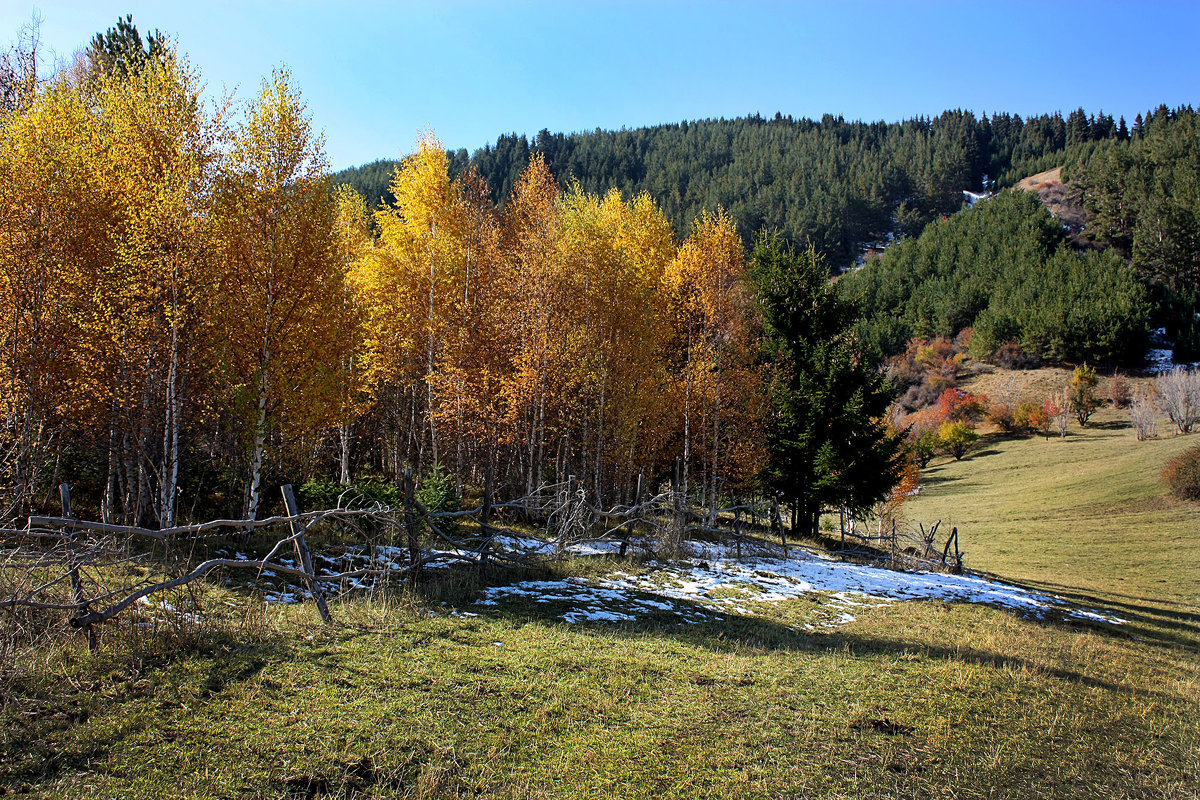 Осень в горах - Roman Arnold