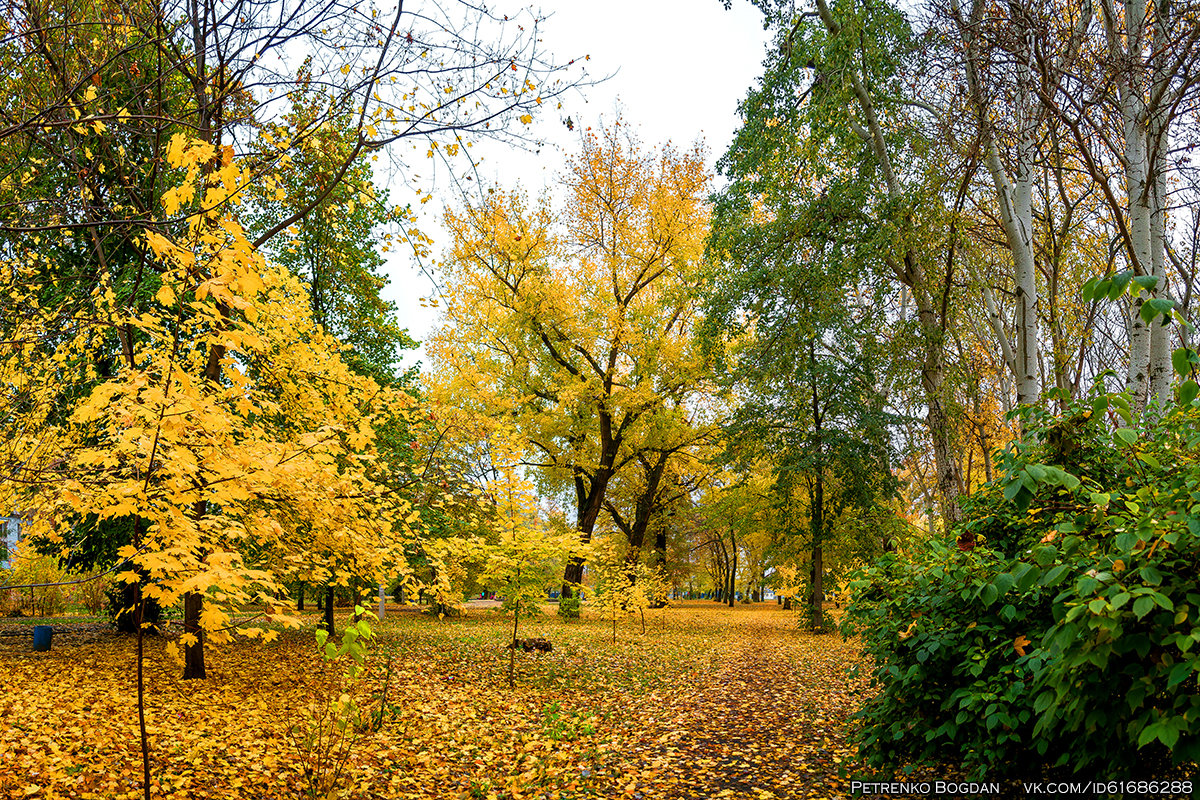Осень в городском саду - Кременчуг - Богдан Петренко