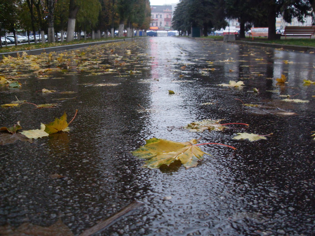 Осенний дождь - MarinaKiseleva2014 