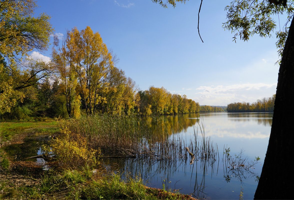 Начало осени - Наталия Григорьева