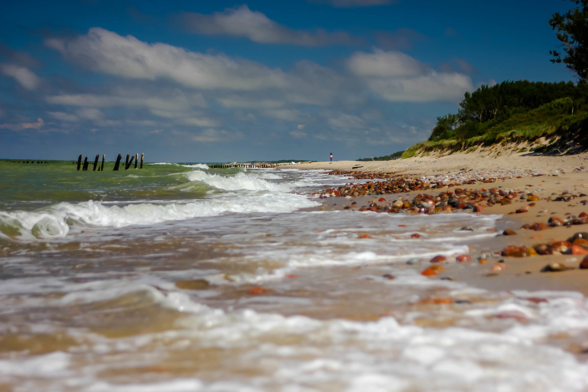 Побережье Балтийского моря пляж