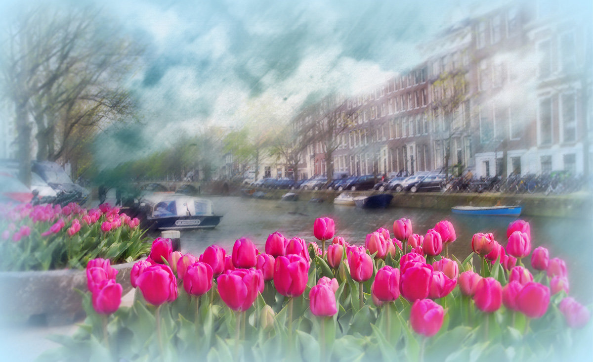 Амстердам / апрель - Liliya 
