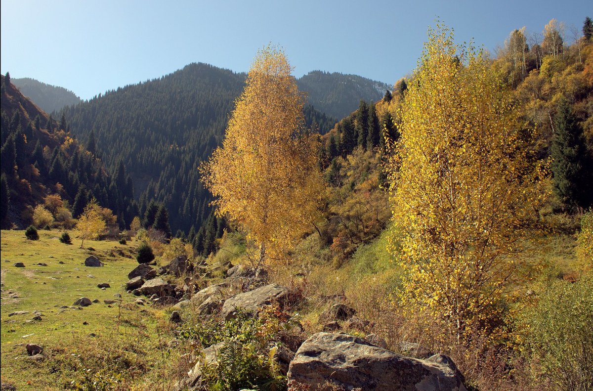 осень в горах - Сергей Савич.