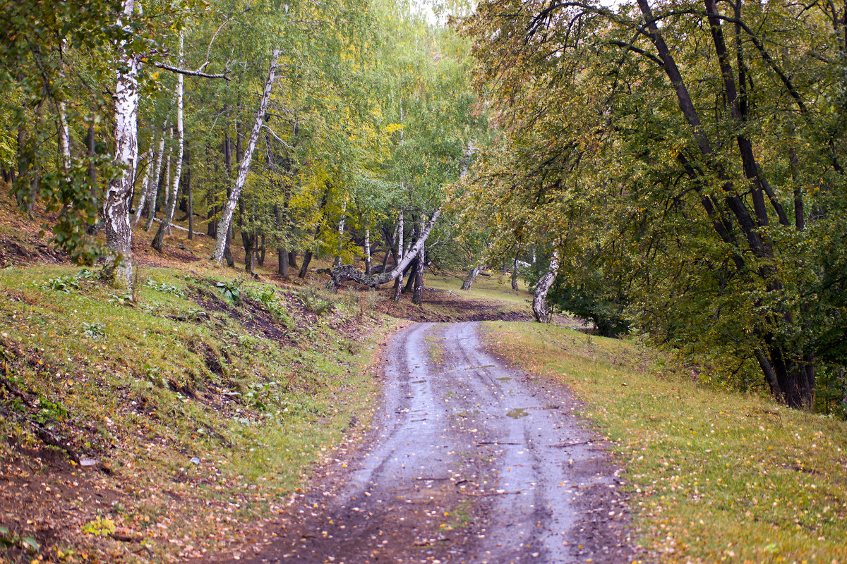 осень на Урале - Ирина Киямова