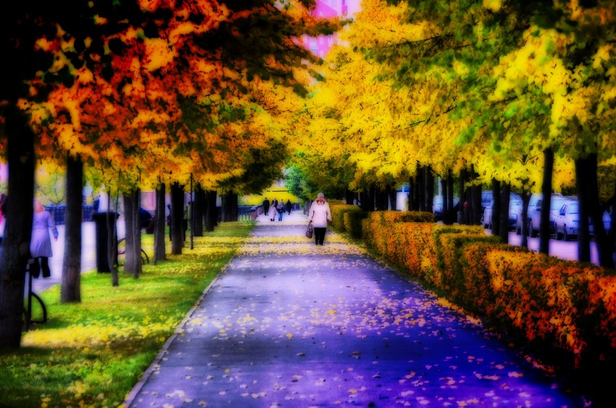 осень в парке - Евгений Фролов