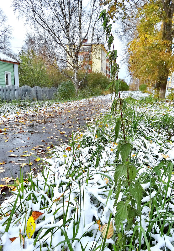 Ранний снег - Валерий Талашов