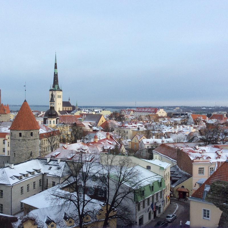 Tallinn - Дарина Михеева