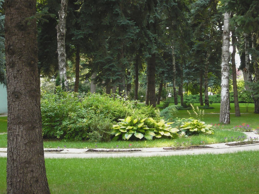 В парке - Вера Щукина