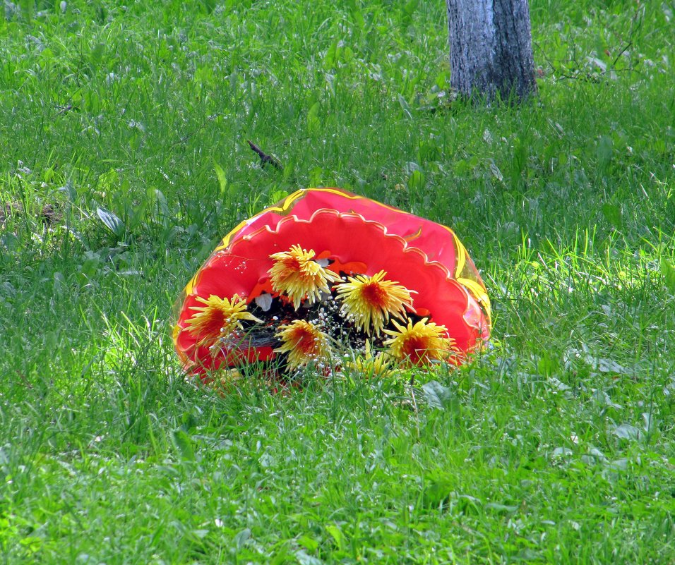 Цветы с зонтом на газоне - Вера Щукина