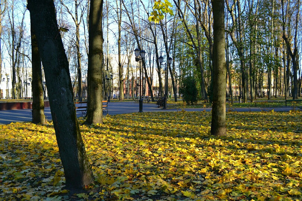 Осень в городе - Милешкин Владимир Алексеевич 