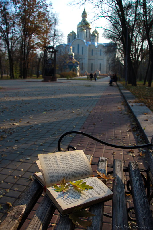 Осенний парк - Svetlana Kravchenko