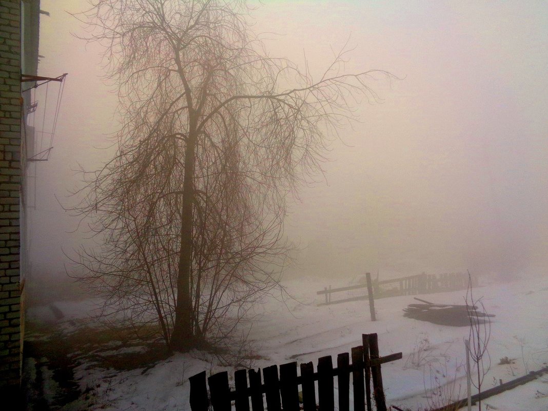 Туман на рассвете - Милла Корн 