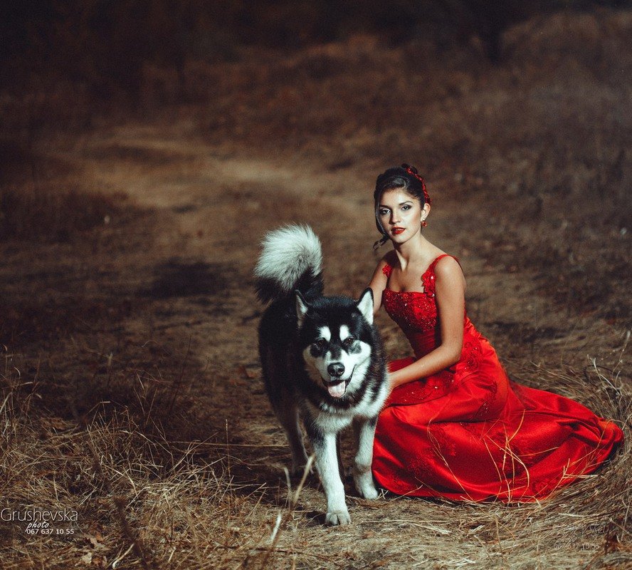 фото с собакой хаски - Оля Грушевская