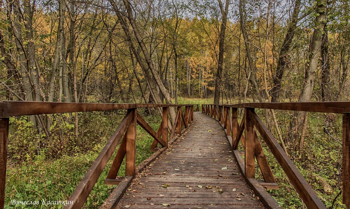 Осенняя зарисовка. Фото 12. - Вячеслав Касаткин