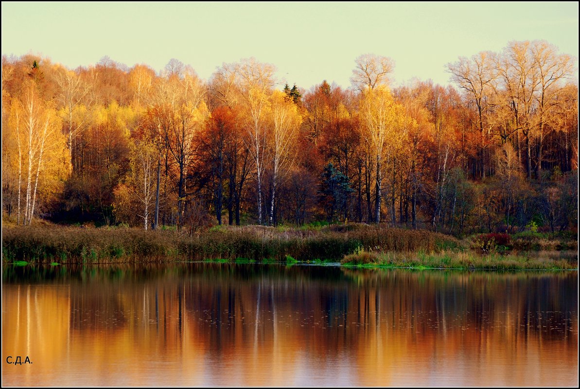 Осень в Клину - Дмитрий 