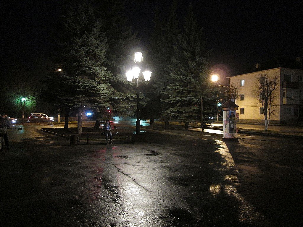 Ночь, аптека, улица, фонарь. - Sergey Serebrykov