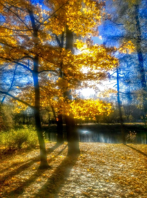 Осень в парке - Юрий Тихонов