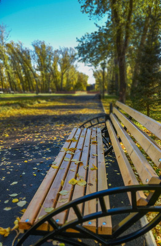 Осенний мотив . - юрий Амосов