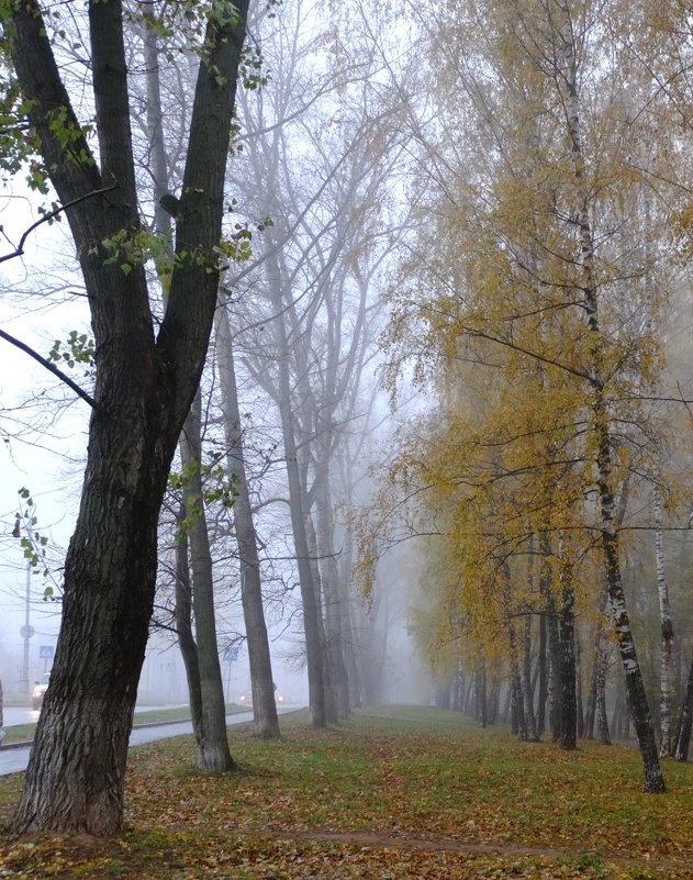Осенняя дымка - Андрей Михайлин