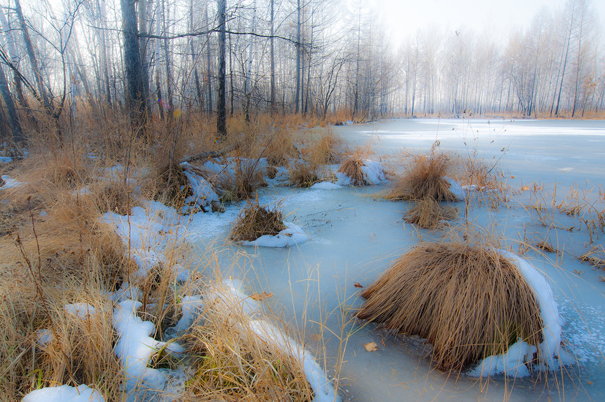 Морозное настроение на лесном озере - Виктор Алеветдинов