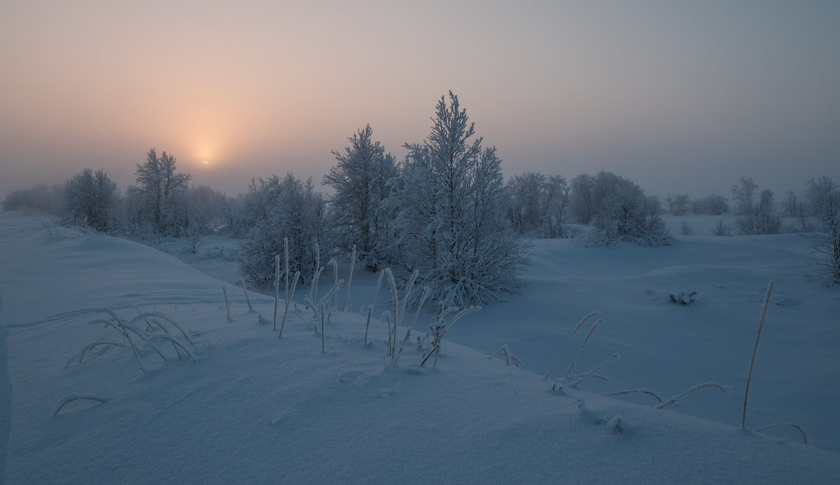 Мороз . туман и солнце - Олег Кулябин