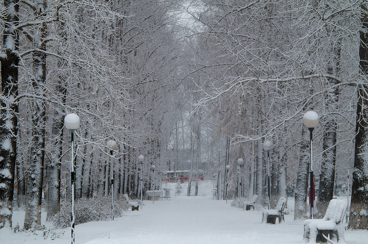 Белым-белы лежат снега - Владимир Максимов