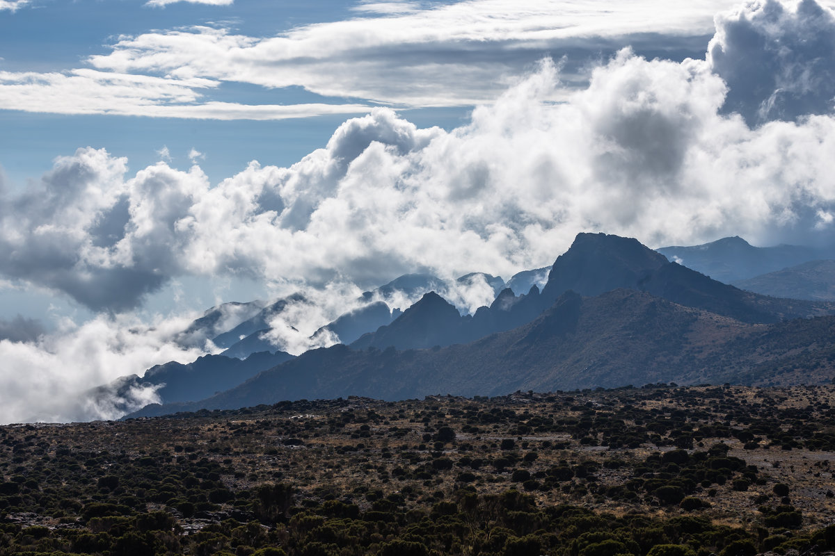 Килиманджаро (октябрь 2015) - Сергей Андрейчук