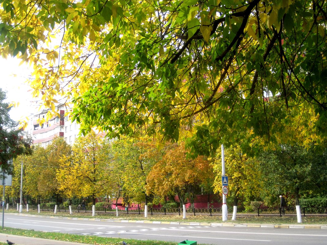 Осенью в городе - Елена Семигина