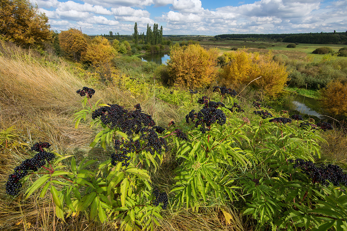 Осенний пейзаж - Сергей Бондарук