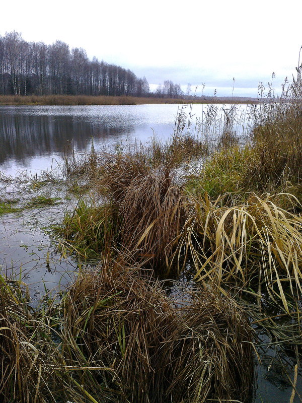 осенняя вода - Леонид Виноградов