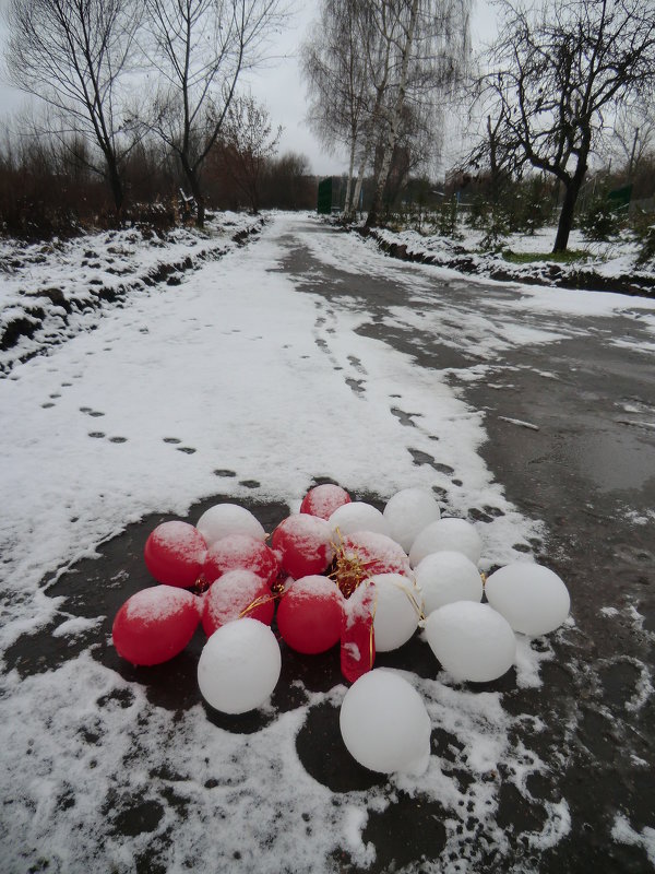 Великие Луки - Первый снег- 15.11. 2015... - Владимир Павлов