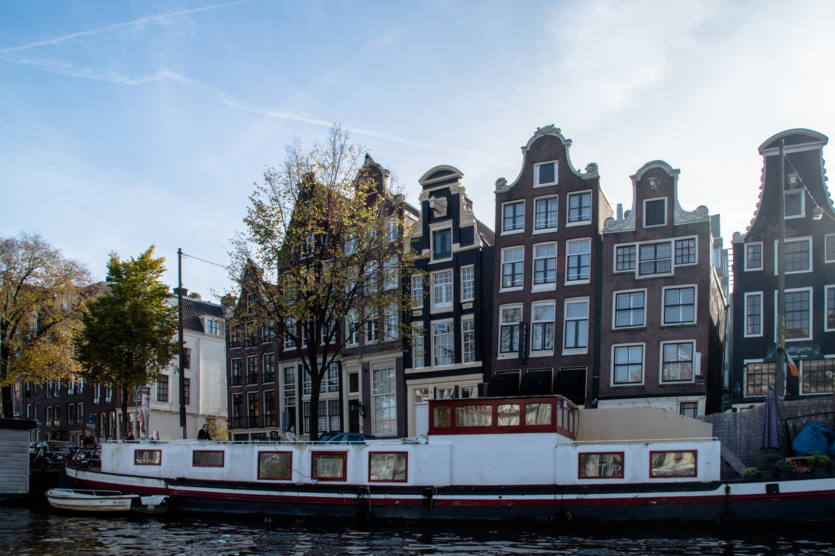Амстердамские дома - Witalij Loewin