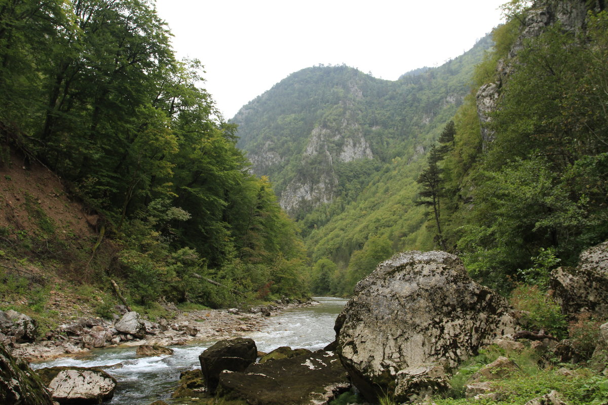 Река Тара - Marina Talberga