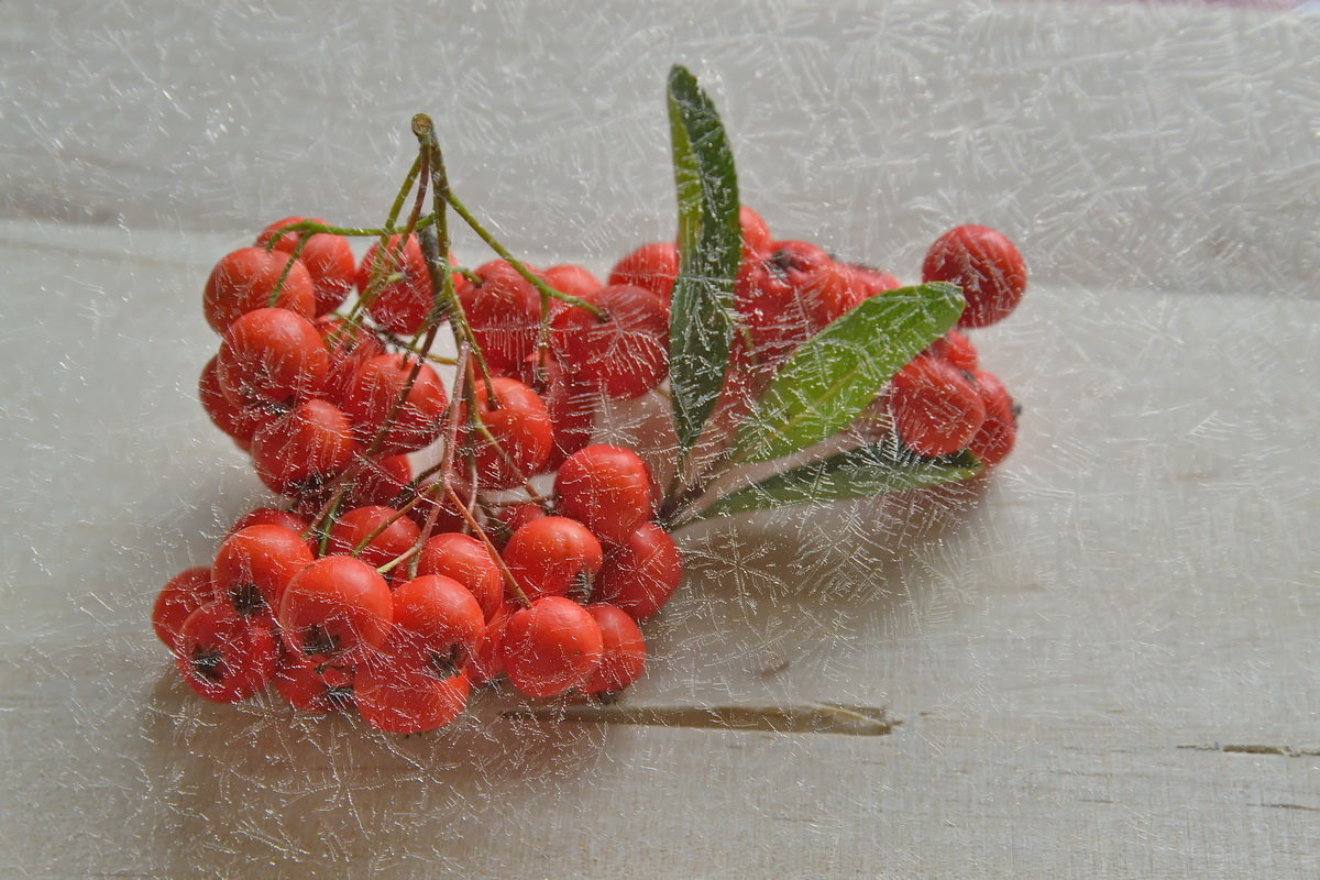 ягоды и морозный узор - Olena 