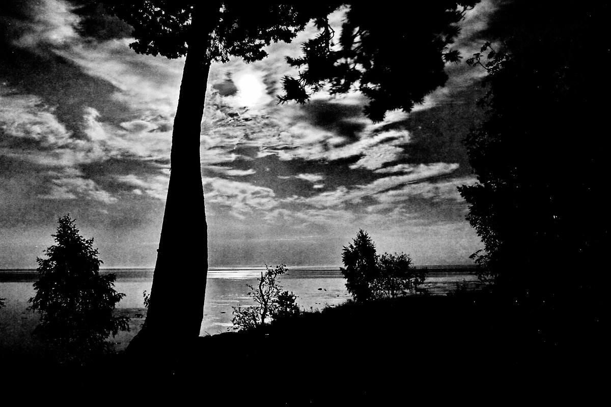 Ночь на озере - Виктор Истомин