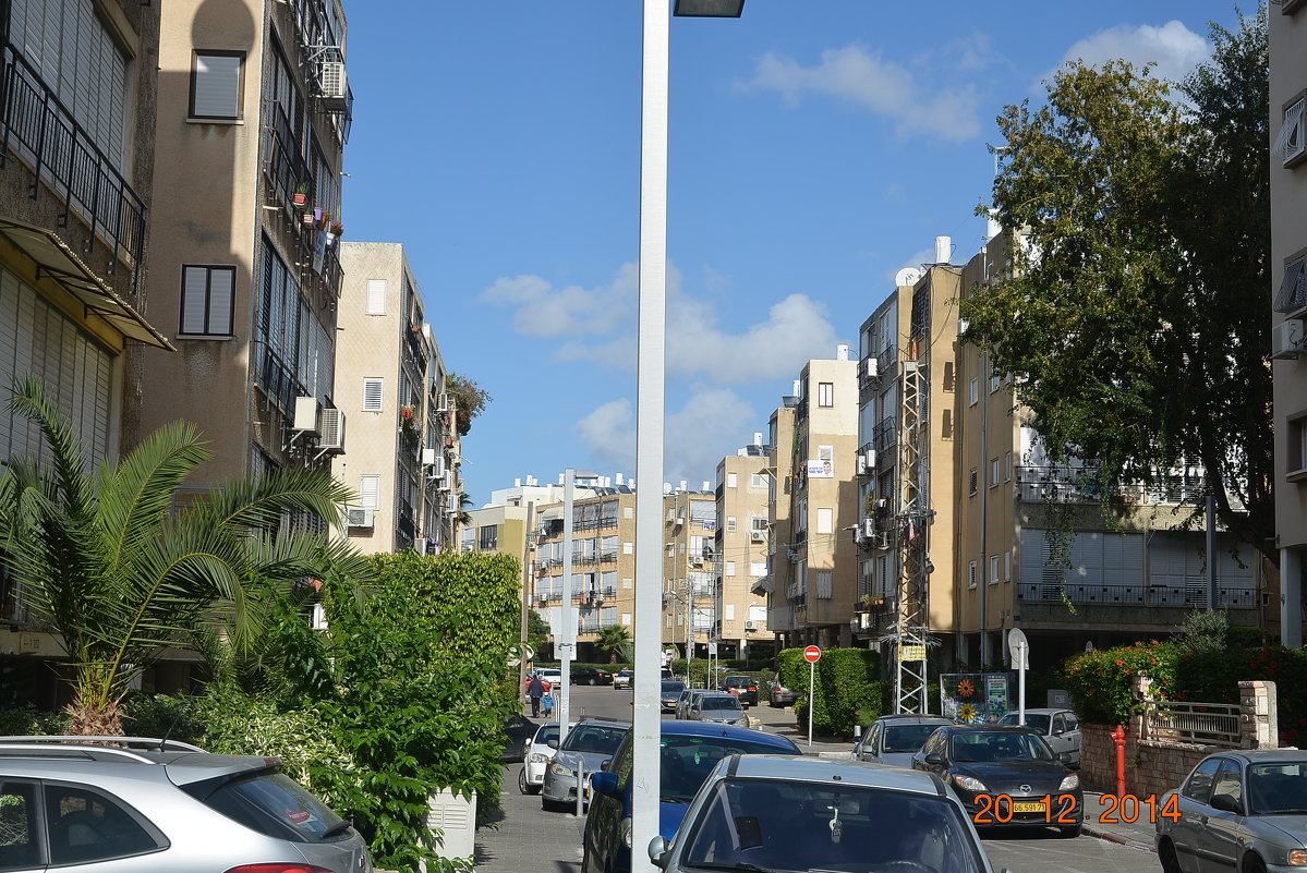 Моя улица - Ефим Хашкес