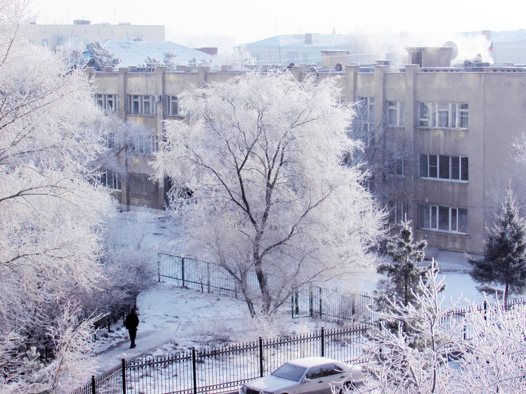 Зима( Вид из окна) - раиса Орловская