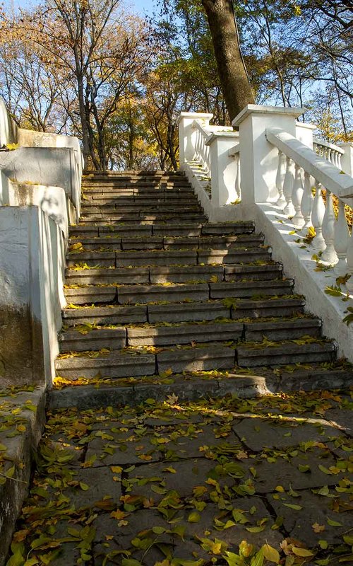 Ступени в осень. - Николай Сидаш