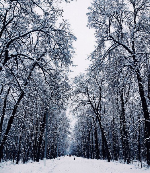 Зима - Ирина 
