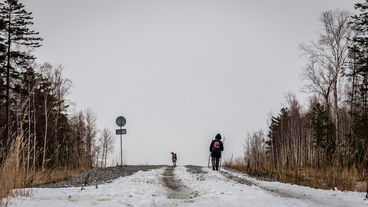 В дорогу с другом... Встреча на дороге... Серия из пяти фотографий. - Сергей Щелкунов